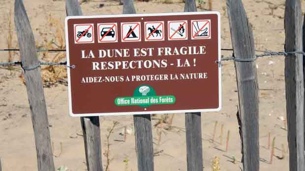 La plage de La Coubre, l'heure du bain