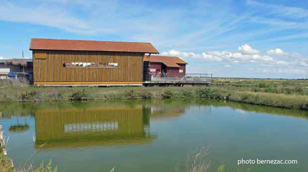 Marennes, cité de l'huître, une cabane