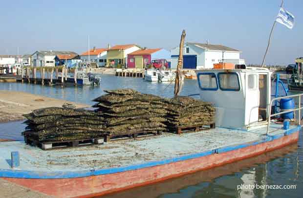 Marennes La Cayenne, chaland