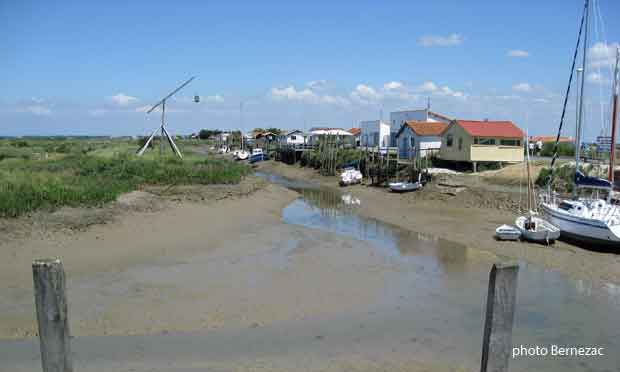 Mornac-sur-Seudre, lle chenal à marée basse