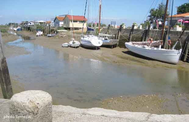 Mornac-sur-Seudre, marée basse