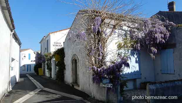 Mornac-sur-Seudre au printemps