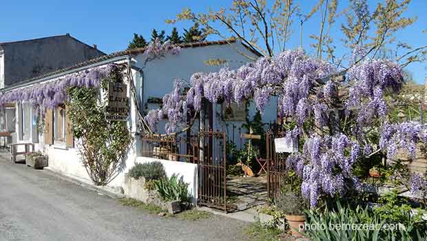 Mornac-sur-Seudre au printemps