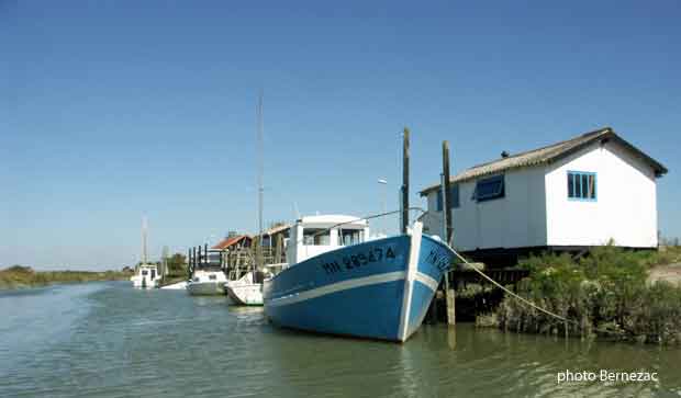 Mornac-sur-Seudre, chenal et cabanes à marée haute