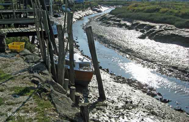 Mornac-sur-Seudre, le chenal à marée basse