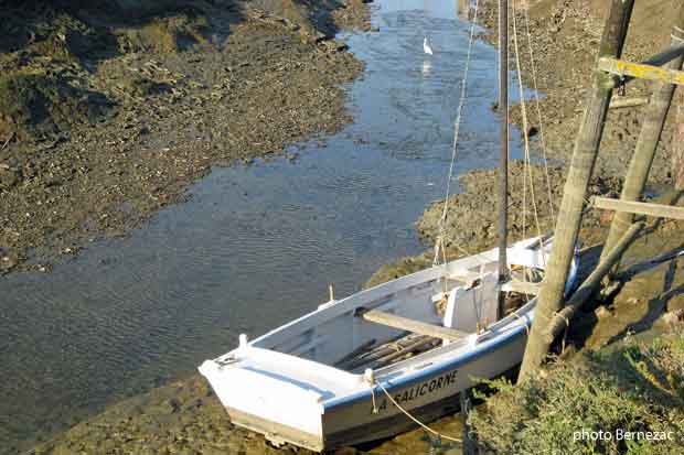 Mornac-sur-Seudre, chenal