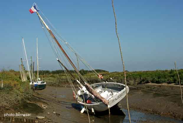 Mornac-sur-Seudre, le cotre La Flèche à marée basse