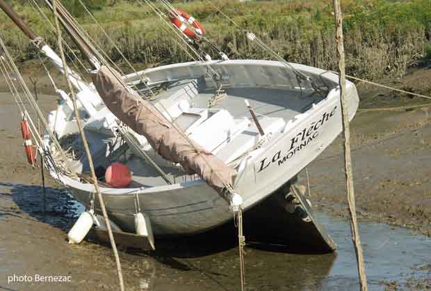 Mornac-sur-Seudre, le cotre La Flèche echoué