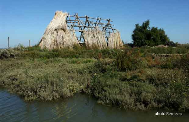 Mornac-sur-Seudre, cabane de saunier