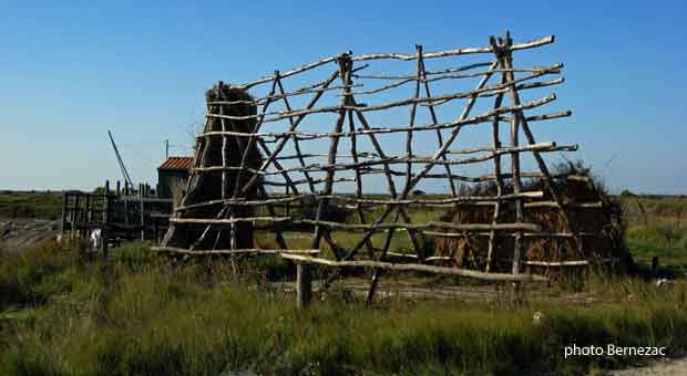 Mornac cabane saunier