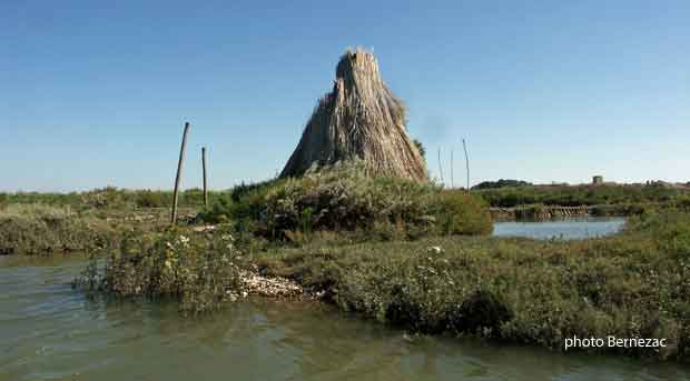 Mornac cabane du saunier