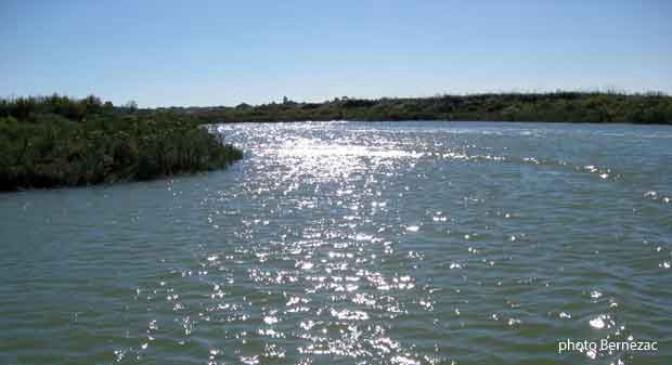 le fleuve La Seudre