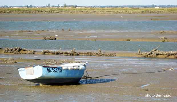 la Seudre à Mornac, marée basse