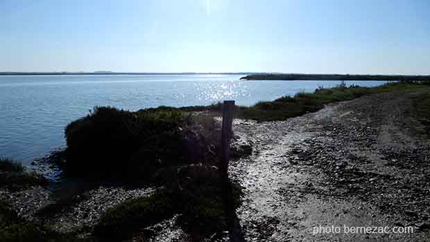 La Seudre à Mornac, vue vers l'amont