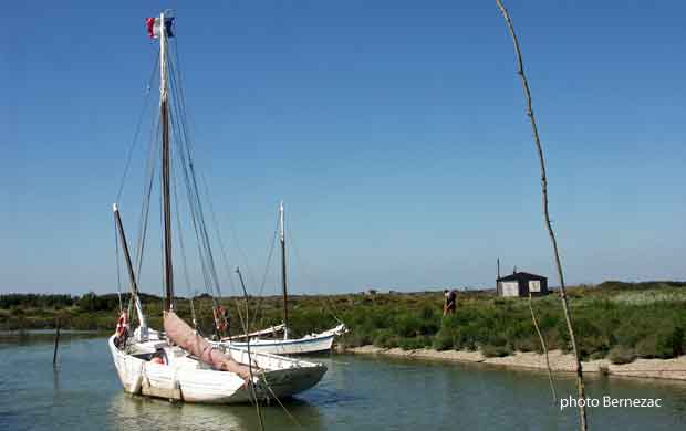 Mornac-sur-Seudre, le cotre La Flèche et le marais