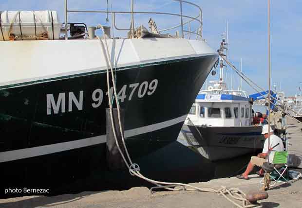 Royan port de pêche, à quai