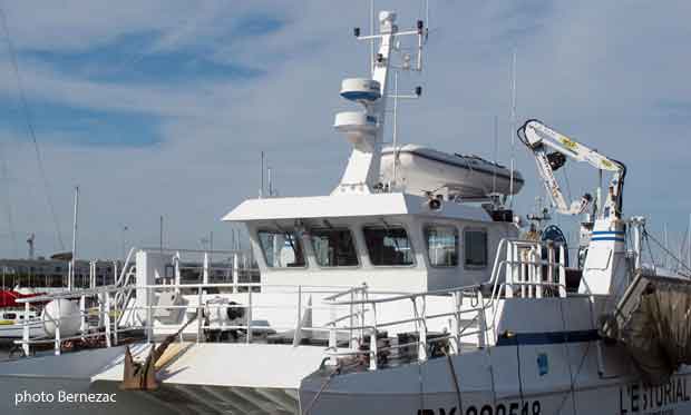 Royan, bateau de pêche au quai de la criée