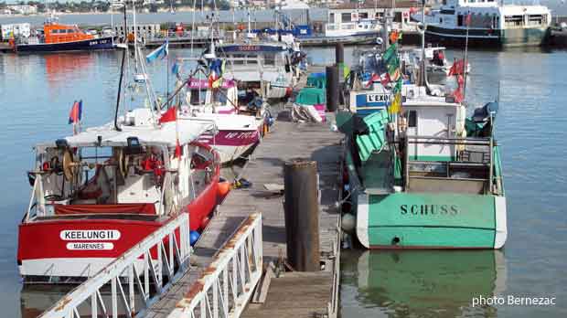 Royan, bateaux de pêche