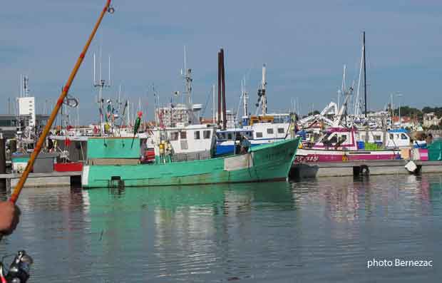 le port de pêche de Royan