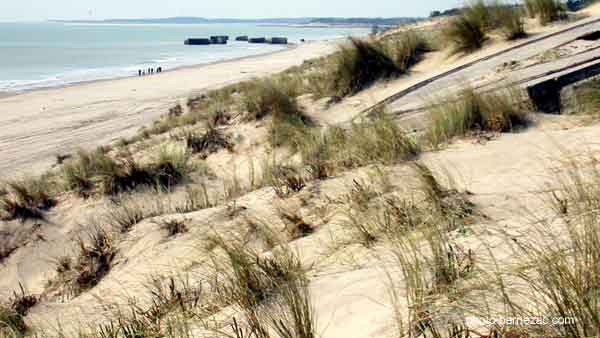 saint-palais-sur-mer, dunes à la Grande Côte