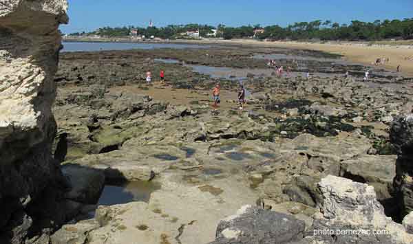 saint-palais-sur-mer, pêche à pied au pont du Diable