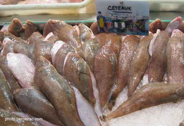 Royan, le marché, céteaux