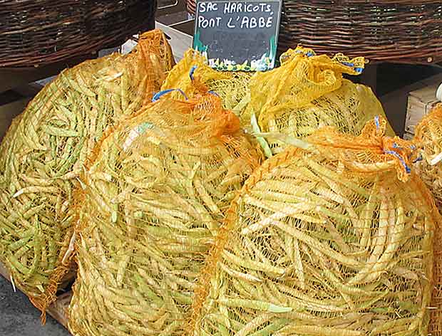 Royan, le marché, haricots blancs de Pont L'Abbé