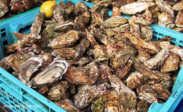 Royan, le marché, huîtres Marennes-Oléron