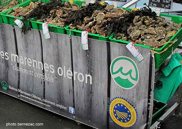 huîtres Marennes-Oléron, Indication Géographique Protégée IGP)