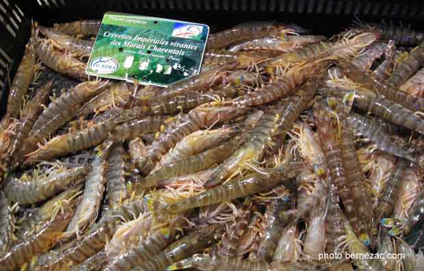 au marché de Royan