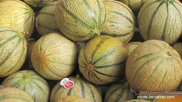 Royan, le marché, melons charentais