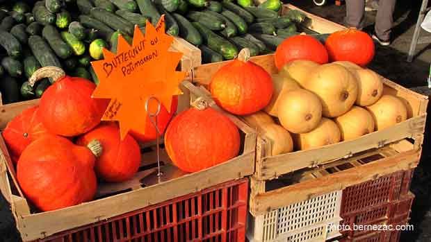 Royan, le marché, potimarrons