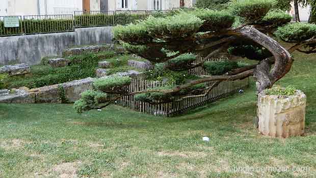 Les vestiges du rempart romain à Saintes